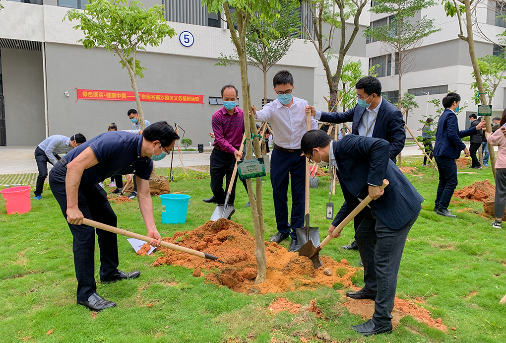 2020年植树节活动