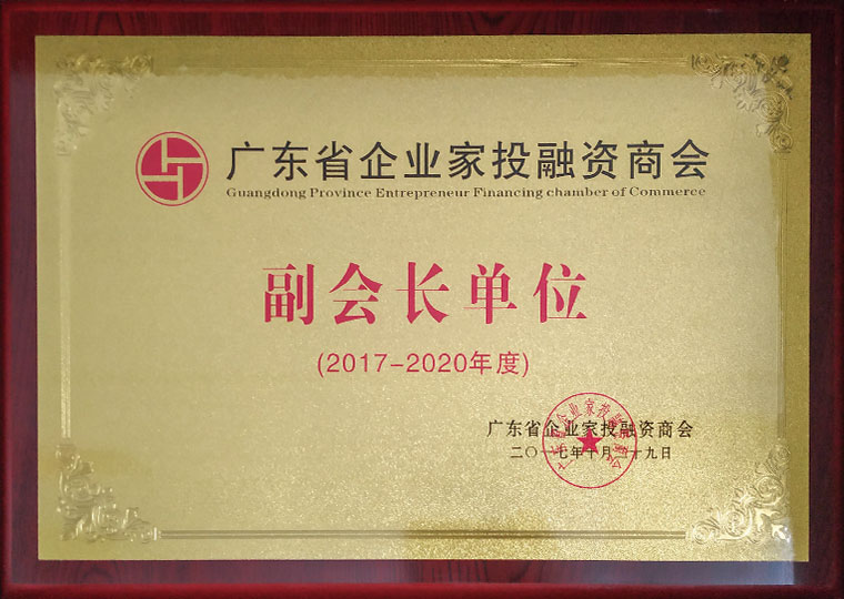 Vice President of Guangdong Entrepreneur Investment and Financing Chamber of Commerce