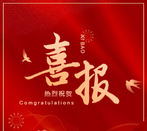 广东医谷荣获 “2025 全国优秀产业园区项目 10 强（城市产业高地类）” 荣誉